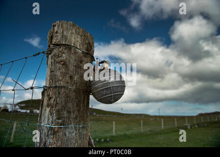 L'Irlande, le Connemara, l'île Inishboffin, Inis Bo Finne (île de la vache blanche) se trouve à 11 kilomètres au large de la côte de Galway. L'île est 5.7km par 4km. Banque D'Images