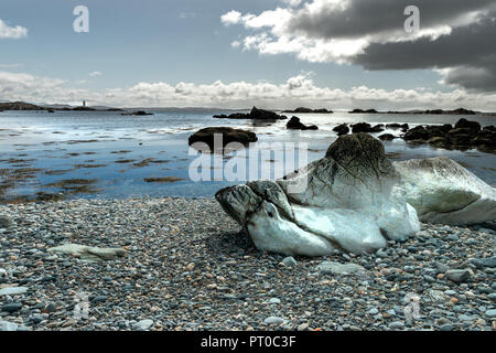 Formation en pierre sur une plage, l'Irlande, le Connemara, l'île Inishboffin, Inis Bo Finne (île de la vache blanche) se trouve à 11 kilomètres au large de la côte de Galway. Banque D'Images
