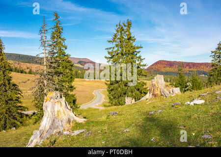 Superbe paysage de Parc Naturel Apuseni de Roumanie en automne. pays route qui serpente dans la vallée. forêt dans la couleur de l'automne sur la montagne lointaine Banque D'Images