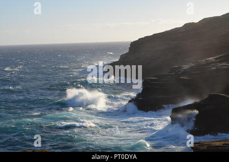 Plages de l'Île Oahu Hwaii USA Banque D'Images