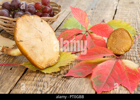 La vie encore l'automne avec des champignons, des raisins dans panier en osier, vert, jaune et rouge feuilles sur les planches de bois Banque D'Images