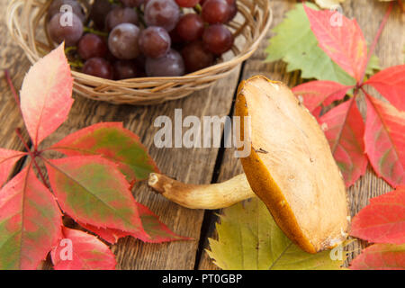 Automne Nature morte avec raisins, de champignons dans panier en osier, vert, jaune et rouge feuilles sur les planches de bois Banque D'Images