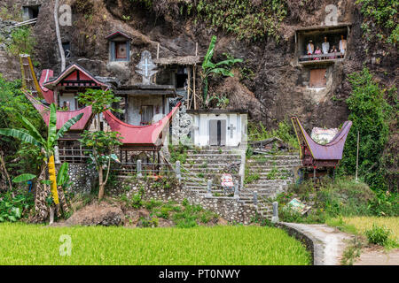 Tombeau de la famille, de Rantepao, Tana Toraja, Sulawesi, Indonésie Banque D'Images