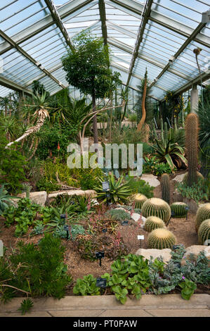 À l'intérieur de l'hôtel Princess of Wales conservatory dans les Royal Botanic Gardens Kew Gardens London England UK Banque D'Images