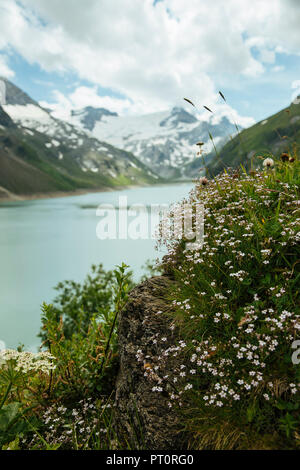 L'Allemagne, l'état de Salzbourg, Zell am See, District de barrage de Mooserboden Banque D'Images