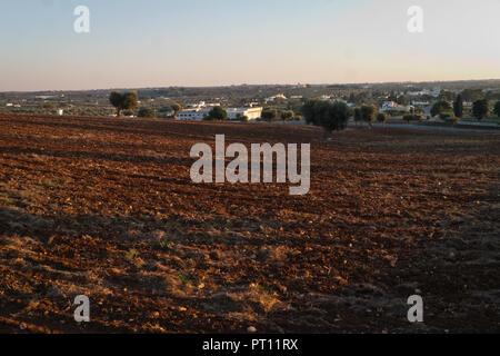 Les terres agricoles sur les collines dans le coucher du soleil de l'automne des Pouilles. Banque D'Images