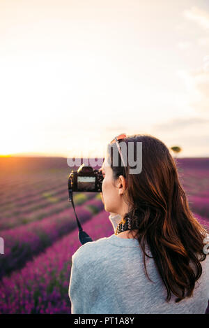 France, Valensole, femme de prendre des photos avec l'appareil photo en face de champ de lavande au coucher du soleil Banque D'Images