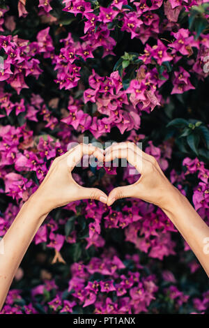 Woman's hands shaping coeur en face de fleurs rose Banque D'Images