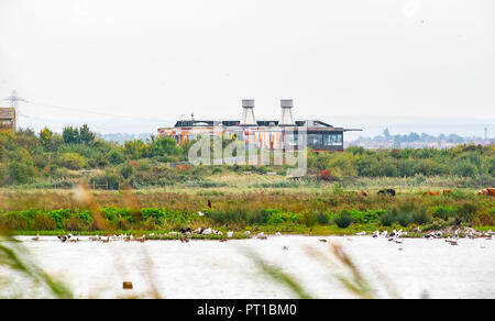 La RSPB Rainham Marshes nature reserve centre d'Essex UK pluie RSPB Marais jambon Banque D'Images