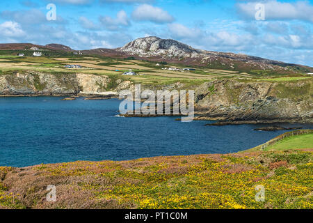 Holyhead Mountain (Mynydd Twr) Vue du sud montrant les champs cultivted rock formations et pliée sur le Nord du Pays de Galles d'Anglesey Royaume-uni Septembre Banque D'Images