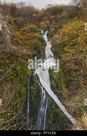 Llanberis Cascade aussi connu comme Ceunant Mawr Chute d'Afon (rivière) Arddu montrant la partie supérieure près de Llanberis North Wales UK 59 Novembre Banque D'Images