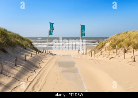 La plage et les dunes de la mer du Nord à la plage de Noordwijk aan Zee, Pays-Bas Banque D'Images