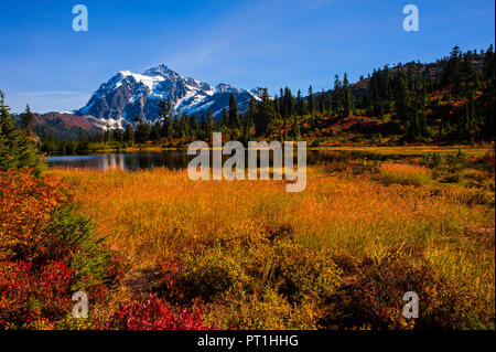 Photo Lac aux couleurs de l'automne et le Mont Shuksan en arrière-plan reflétée dans le lac de montagne l'État de Washington, USA Banque D'Images