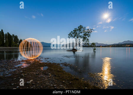 La laine d'acier en face de l'arbre isolé dans le lac Wanaka sous le clair de lune au crépuscule, Wanaka, Queenstown Lakes District, région de l'Otago, île du Sud, Nouvelle-Zélande, Banque D'Images