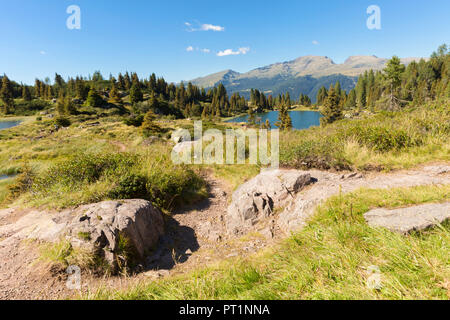 Sur la voie vers les lacs Colbricon, Rolle, province de Trento, Trentino Alto Adige, Italie Banque D'Images