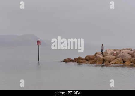 Garçon debout sur la tempête de la défense du port dans la brume d'automne sur la côte à Lyme Regis, dans le Dorset, Angleterre, Royaume-Uni après une journée d'octobre. Banque D'Images