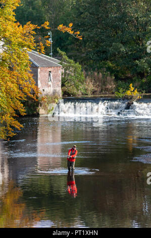 Glasgow, Ecosse, Royaume-Uni. 5 octobre, 2018. Météo France : un homme pêche à la mouche dans le Livre blanc de l'eau Panier sur un après-midi ensoleillé de Pollok Country Park. Credit : Skully/Alamy Live News Banque D'Images