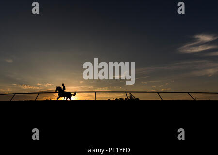 Lexington, Kentucky, USA. 4ème Oct, 2018. 05 octobre 2018 : chevaux train à Hippodrome Keeneland, 05 octobre 2018 à Lexington, Kentucky. Evers/ESW/CSM/Alamy Live News Banque D'Images