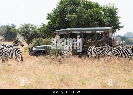 Au Kenya. 05Th Oct, 2018. La première dame des États-Unis Melania Trump portant un casque colonial blanc vues zèbres comme elle voyage dans une terre-cruiser lors d'un safari tour du Parc National de Nairobi avec sa guide Nelly Palmeris, assis derrière, le 5 octobre 2018à Nairobi, au Kenya. La première dame sur son premier disque solo voyage international a été critiqué pour le port du casque colonial, longtemps un symbole de l'ouest en Afrique. colonialistes Credit : Planetpix/Alamy Live News Banque D'Images