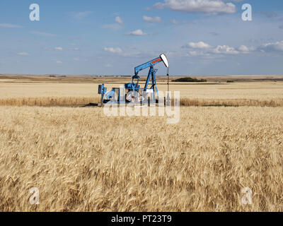 Gull Lake, Saskatchewan, Canada. Sep 9, 2018. Situé au milieu d'un champ de blé de l'agriculteur un gisement de pumpjack appartenant à Ressources Whitecap pompage travaille en dehors du pétrole brut. Credit : Bayne Stanley/ZUMA/Alamy Fil Live News Banque D'Images