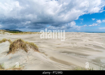 Dunes de sable de Farewell Spit, réserve naturelle de Puponga, district de Tasmanie, île du Sud, Nouvelle-Zélande, Banque D'Images