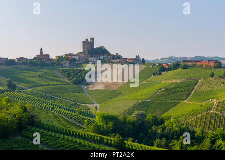 Serralunga d'Alba, Barolo région du vin, vignobles, Langhe, Piémont, Italie Banque D'Images