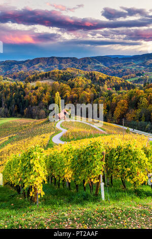 La route heartshaped au coucher du soleil, Spicnik, Kungota, région de Drava, Slovénie, Banque D'Images