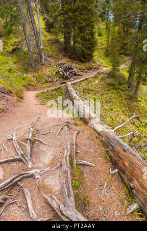 Pathway Adolf Munkel Weg, Parco naturale, Puez Odle Funes valley, South Tyrol, Trentin-Haut-Adige, la province de Bolzano, Italie, Europe Banque D'Images