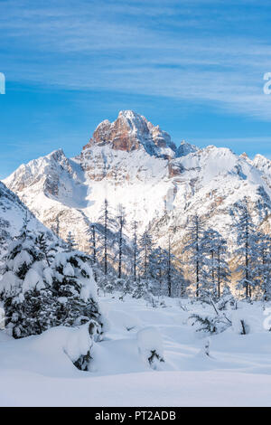 Carbonin / Schluderbach / Dobbiaco, Toblach, Dolomites, province de Bolzano, le Tyrol du Sud, Italie, Europe, le pic de Croda Rossa d' Ampezzo Banque D'Images