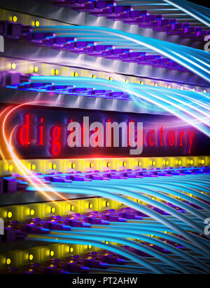 Usine numérique, serveur, câble de l'ordinateur Banque D'Images