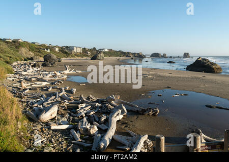 Côte du Pacifique, de l'Oregon, Bandon, Driftwood Banque D'Images