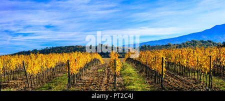 Paysage d'automne impressionnant,avec vue sur vignes colorées,région du Chianti, Toscane,Italie. Banque D'Images