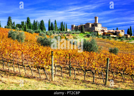 Beau vieux château Banfi,avec vue sur les vignes et les cyprès près de Montalcino,Toscane,Italie. Banque D'Images