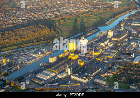 Port de Hamm, moulin à huile, Broelio Brökelmann, Datteln-Hamm-Kanal, Hamm, Ruhr, Rhénanie du Nord-Westphalie, Allemagne Banque D'Images