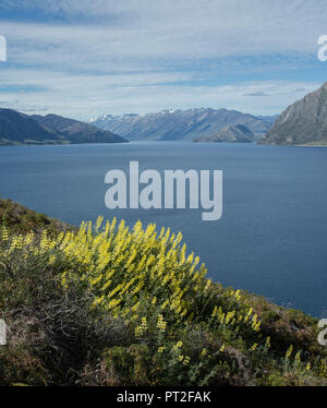 La NOUVELLE ZELANDE, Commonwealth, Queenstown, le Lac Wakatipu Banque D'Images