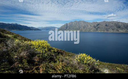 La NOUVELLE ZELANDE, Commonwealth, Queenstown, le lac Wakatipu, Banque D'Images