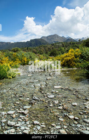 La NOUVELLE ZELANDE, Commonwealth, Queenstown, le Lac Wakatipu Banque D'Images