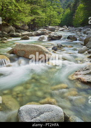 Gorges de la Restonica, Corse, France Banque D'Images