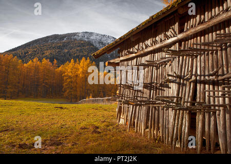 Autriche, Tyrol, Miemingen plateau, grange à foin et le mélèze meadows Banque D'Images