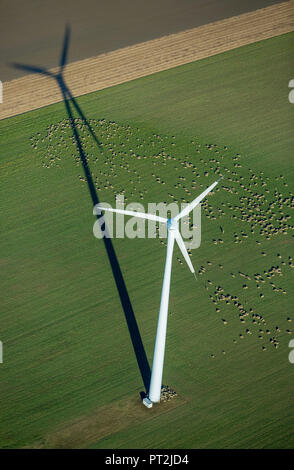 Éolienne sur un champ, troupeau de moutons, les champs, les énergies alternatives, l'énergie éolienne, Herzogenrath, Rhénanie du Nord-Westphalie, Allemagne, Banque D'Images