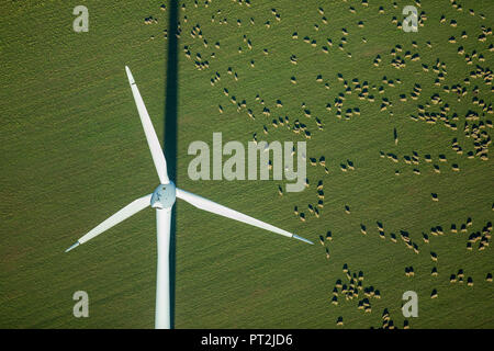 Éolienne sur un champ, troupeau de moutons, les champs, les énergies alternatives, l'énergie éolienne, Herzogenrath, Rhénanie du Nord-Westphalie, Allemagne, Banque D'Images