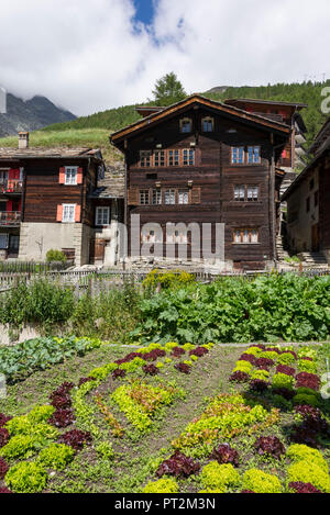 La Suisse, canton du Valais, Verbier, haut plateau, Vallée de Saas, Saas-Fee, ferme, potager Banque D'Images