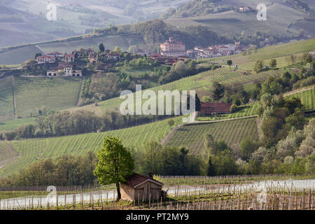 Langhe, Cuneo, Piémont, Italie, région du vin Langhe printemps, vue sur le château de Barolo Banque D'Images