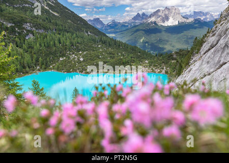 Vue sur le lac de Sorapiss Sorapiss, Lac, Dolomites, Veneto, Italie Banque D'Images