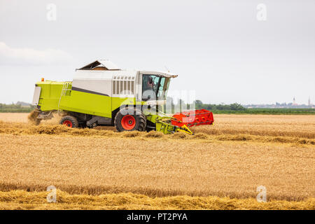 La Serbie, la Voïvodine, combiner la récolte champ de blé Banque D'Images