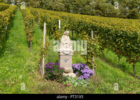 Allemagne, Bade-Wurtemberg, vignoble près de Berlin avec la route de culte Banque D'Images