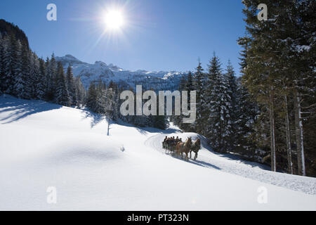 Promenade en traîneau tiré par des chevaux au pâturage d'Gnadenalm, Obertauern, Salzbourg (Autriche), de l'état Banque D'Images