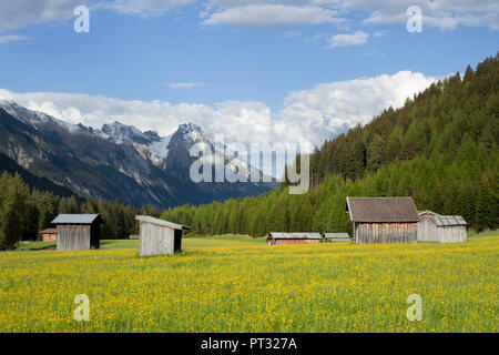 Le printemps à l'Stanzer Tal (vallée de Stanz) près de Sankt Anton, Tyrol, Autriche Banque D'Images