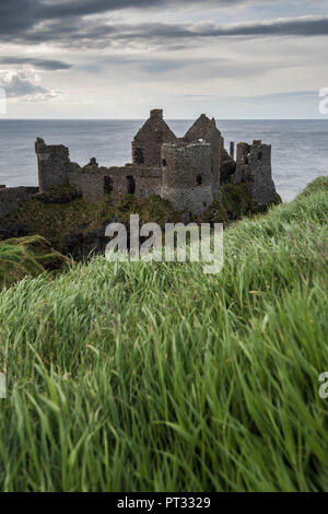 Le Château de Dunluce, comté d'Antrim, région de l'Ulster, en Irlande du Nord, Royaume-Uni, Banque D'Images
