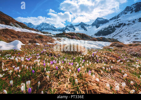 Miller Valley dans le parc de l'Adamello, province de Brescia, Lombardie, Italie, district Banque D'Images